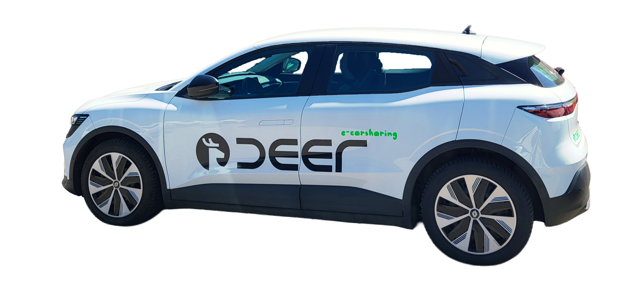 deer Pop-up-Store