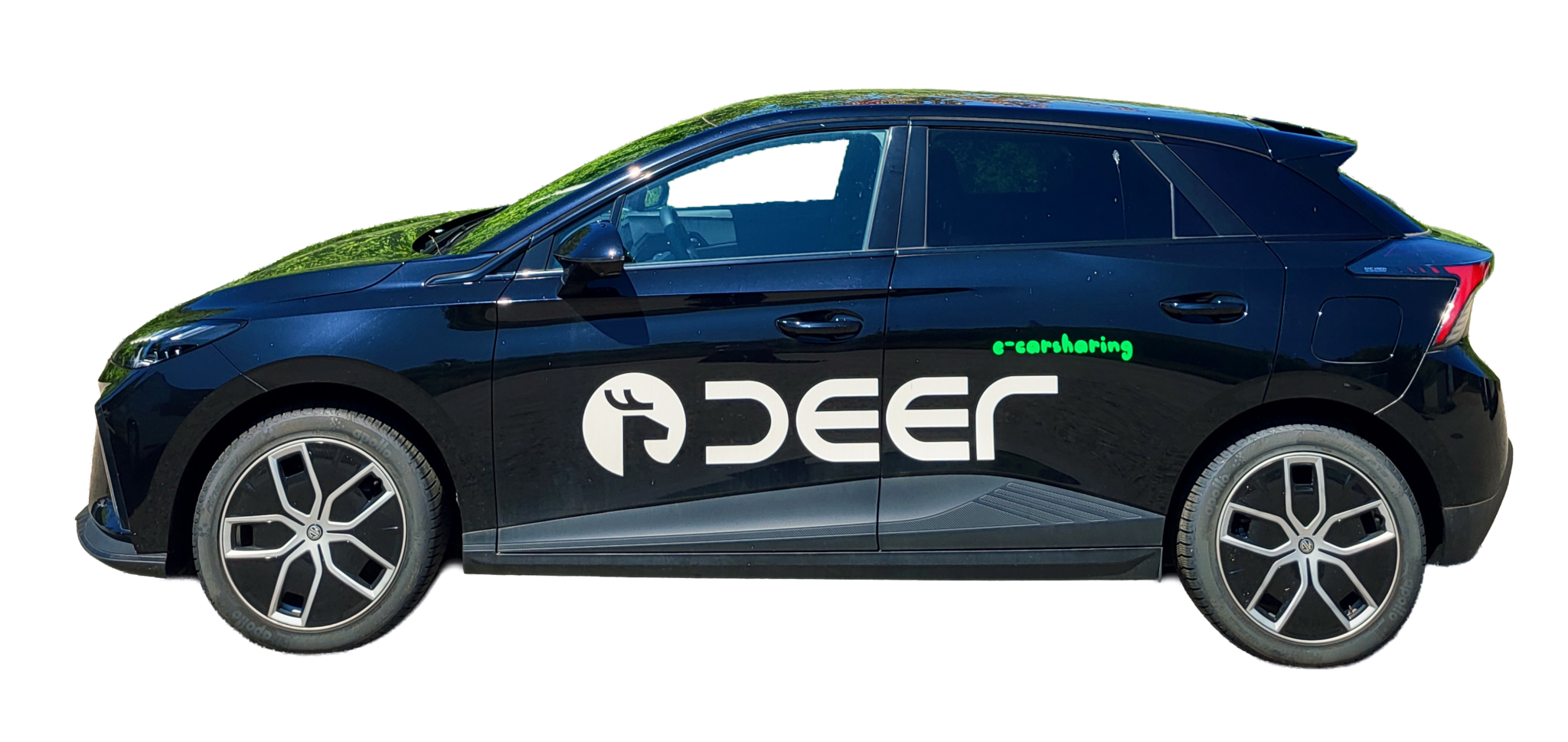 deer Pop-up-Store