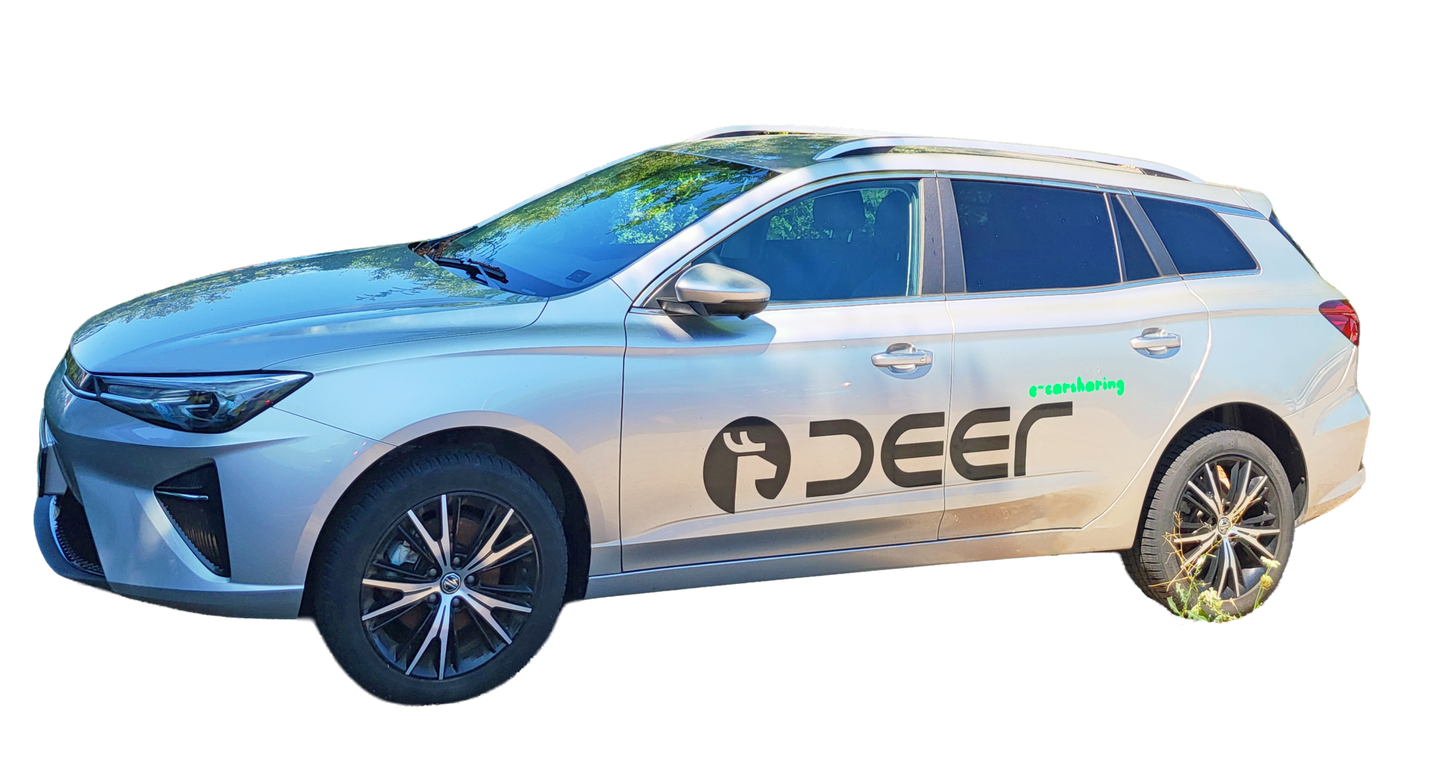 deer Pop-up-Store